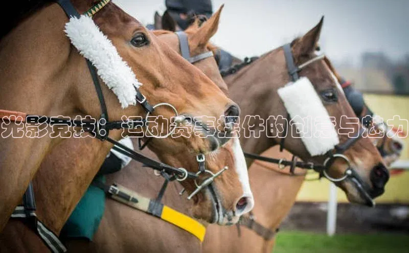 J9九游会老哥俱乐部