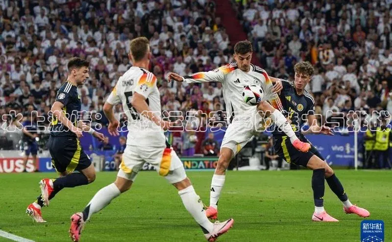 水上激情：皮艇运动赛事的魅力与挑战