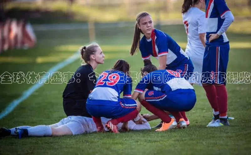 全球体育盛事：今年主要的国际运动赛事概览