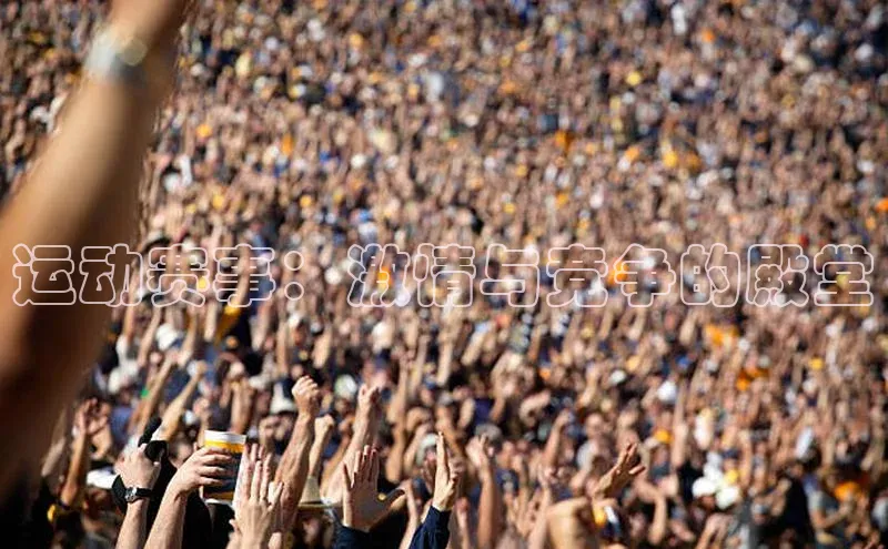 运动赛事：激情与竞争的殿堂